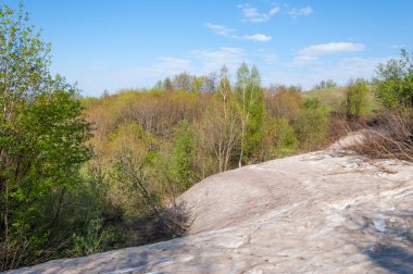 Son kar, yeşil ağaçlar. Bir orman hillside bahar yeşil kar son parça. Yeşil bahar kayın ormanı tepe üzerinde son karda. Nisan hava.