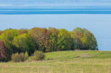 Bahar, büyük bir nehir, renkli ağaçlar. Nehir kenarında yumuşak sabah şafak ışığı içinde filizlenen büyük ağaç. Sakin nehir düşük dağlara akan