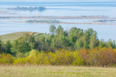 Bahar, büyük bir nehir, renkli ağaçlar. Nehir kenarında yumuşak sabah şafak ışığı içinde filizlenen büyük ağaç. Sakin nehir düşük dağlara akan