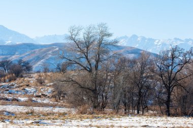  kayalar ve woods, erken Bahar yatay