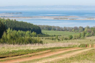 Bahar, büyük bir nehir, renkli ağaçlar. Nehir kenarında yumuşak sabah şafak ışığı içinde filizlenen büyük ağaç. Sakin nehir düşük dağlara akan