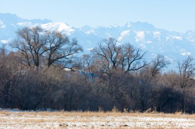  kayalar ve woods, erken Bahar yatay