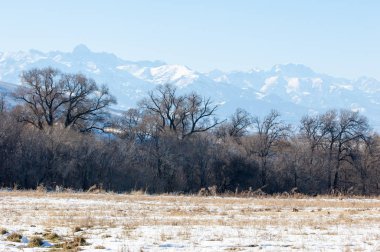  kayalar ve woods, erken Bahar yatay