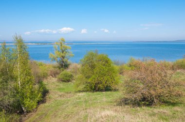 Bahar, büyük bir nehir, renkli ağaçlar. Nehir kenarında yumuşak sabah şafak ışığı içinde filizlenen büyük ağaç. Sakin nehir düşük dağlara akan