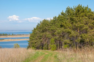 Bahar, büyük bir nehir, renkli ağaçlar. Nehir kenarında yumuşak sabah şafak ışığı içinde filizlenen büyük ağaç. Sakin nehir düşük dağlara akan