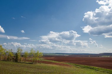 Alan sürülmüş, ekilen hububat. Bahar günü sürülmüş alana. Siyah toprak sürülmüş alan. Mavi gökyüzünde sürülmüş alan