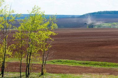 Alan sürülmüş, ekilen hububat. Bahar günü sürülmüş alana. Siyah toprak sürülmüş alan. Mavi gökyüzünde sürülmüş alan