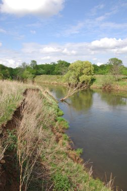 Bahar Nehri,, ağaç bahar güneş büyür..