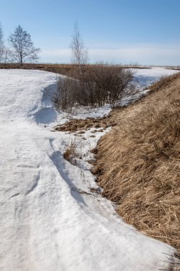 Bahar Orman, solmuş çimen, son kar, sıcak bahar günü, masaüstü duvar kağıtları. Bu fotoğraf iyi tasarım çözümü. 