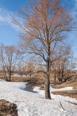 Brook bahar. güneşli bir bahar brooks suda eriyen doku. nehir dere dere. Bahar Nehri üzerinde buz erime. 