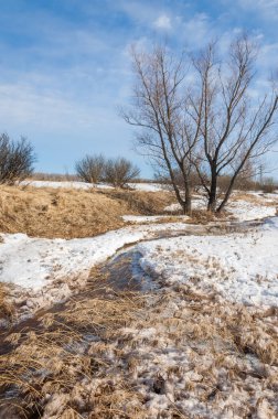 Brook bahar. güneşli bir bahar brooks suda eriyen doku. nehir dere dere. Bahar Nehri üzerinde buz erime. 