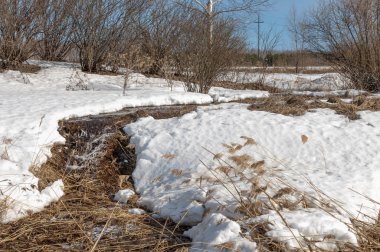 Brook bahar. güneşli bir bahar brooks suda eriyen doku. nehir dere dere. Bahar Nehri üzerinde buz erime. 