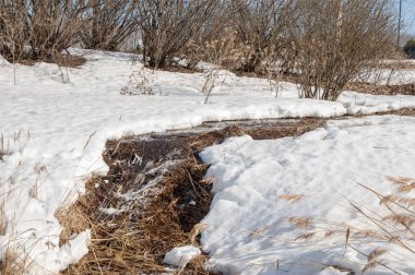 Brook bahar. güneşli bir bahar brooks suda eriyen doku. nehir dere dere. Bahar Nehri üzerinde buz erime. 