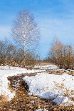 Brook bahar. güneşli bir bahar brooks suda eriyen doku. nehir dere dere. Bahar Nehri üzerinde buz erime. 