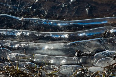 doku. Donmuş su birikintisi, Bahar, buz kalıpları. 