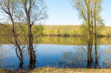 bahar Gölü. Su birikintisi bahar. Bahar park göl. bahar Gölü sahne. Bahar gölün kıyısında.