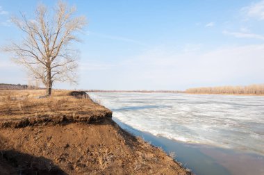 Bahar River, buz Nehri üzerinde. çıplak ağaçlar ve mavi gökyüzünde güzel bulutlar güzel bahar manzara nehir buz ile erimiş