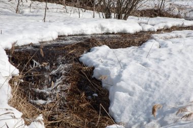 Brook bahar. güneşli bir bahar brooks suda eriyen doku. nehir dere dere. Bahar Nehri üzerinde buz erime. 