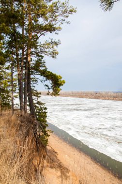 Bahar River, buz Nehri üzerinde. çıplak ağaçlar ve mavi gökyüzünde güzel bulutlar güzel bahar manzara nehir buz ile erimiş