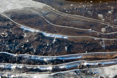 doku. Donmuş su birikintisi, Bahar, buz kalıpları. 