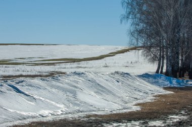 Geçen kış bahar kar. Ağaçlar