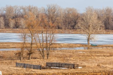 Bahar River, buz Nehri üzerinde. çıplak ağaçlar ve mavi gökyüzünde güzel bulutlar güzel bahar manzara nehir buz ile erimiş