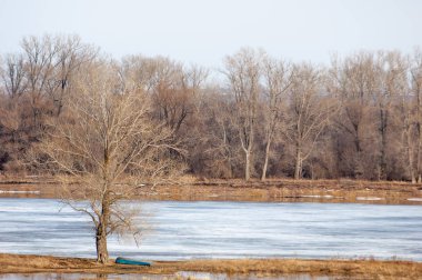 Bahar River, buz Nehri üzerinde. çıplak ağaçlar ve mavi gökyüzünde güzel bulutlar güzel bahar manzara nehir buz ile erimiş