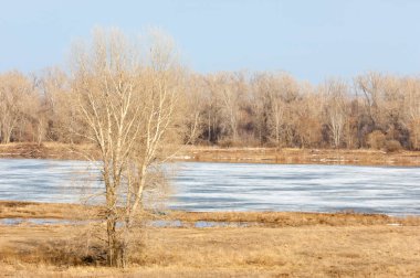 Bahar River, buz Nehri üzerinde. çıplak ağaçlar ve mavi gökyüzünde güzel bulutlar güzel bahar manzara nehir buz ile erimiş