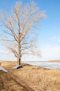 Bahar River, buz Nehri üzerinde. çıplak ağaçlar ve mavi gökyüzünde güzel bulutlar güzel bahar manzara nehir buz ile erimiş