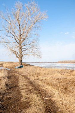 Bahar River, buz Nehri üzerinde. çıplak ağaçlar ve mavi gökyüzünde güzel bulutlar güzel bahar manzara nehir buz ile erimiş