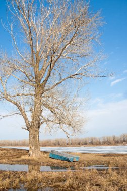 Bahar River, buz Nehri üzerinde. çıplak ağaçlar ve mavi gökyüzünde güzel bulutlar güzel bahar manzara nehir buz ile erimiş