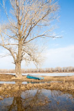 Bahar River, buz Nehri üzerinde. çıplak ağaçlar ve mavi gökyüzünde güzel bulutlar güzel bahar manzara nehir buz ile erimiş