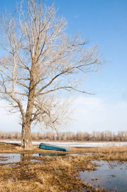 Bahar River, buz Nehri üzerinde. çıplak ağaçlar ve mavi gökyüzünde güzel bulutlar güzel bahar manzara nehir buz ile erimiş