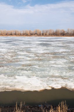 Bahar River, buz Nehri üzerinde. çıplak ağaçlar ve mavi gökyüzünde güzel bulutlar güzel bahar manzara nehir buz ile erimiş