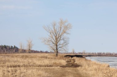 Bahar River, buz Nehri üzerinde. çıplak ağaçlar ve mavi gökyüzünde güzel bulutlar güzel bahar manzara nehir buz ile erimiş