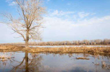 Bahar River, buz Nehri üzerinde. çıplak ağaçlar ve mavi gökyüzünde güzel bulutlar güzel bahar manzara nehir buz ile erimiş