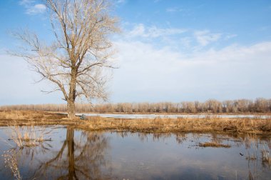 Bahar River, buz Nehri üzerinde. çıplak ağaçlar ve mavi gökyüzünde güzel bulutlar güzel bahar manzara nehir buz ile erimiş
