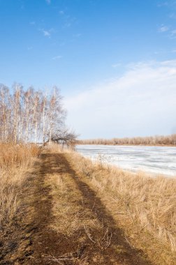 Bahar River, buz Nehri üzerinde. çıplak ağaçlar ve mavi gökyüzünde güzel bulutlar güzel bahar manzara nehir buz ile erimiş