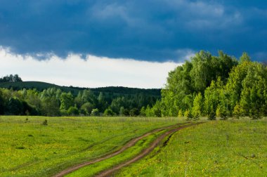 Bahar köy yolunda ormanda. 