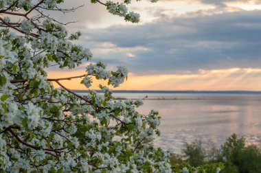 Gün batımı, Güneş doğuyor. Nehir bulut. Dramatik yanan gökyüzü sırasında yaz günbatımı. 
