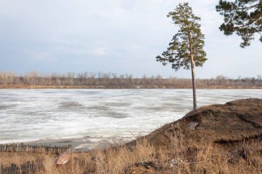 Bahar River, buz Nehri üzerinde. çıplak ağaçlar ve mavi gökyüzünde güzel bulutlar güzel bahar manzara nehir buz ile erimiş