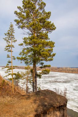 Bahar River, buz Nehri üzerinde. çıplak ağaçlar ve mavi gökyüzünde güzel bulutlar güzel bahar manzara nehir buz ile erimiş
