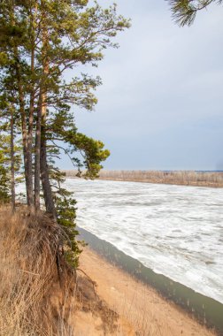 Bahar River, buz Nehri üzerinde. çıplak ağaçlar ve mavi gökyüzünde güzel bulutlar güzel bahar manzara nehir buz ile erimiş