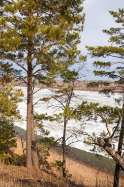 Bahar River, buz Nehri üzerinde. çıplak ağaçlar ve mavi gökyüzünde güzel bulutlar güzel bahar manzara nehir buz ile erimiş