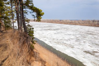 Bahar River, buz Nehri üzerinde. çıplak ağaçlar ve mavi gökyüzünde güzel bulutlar güzel bahar manzara nehir buz ile erimiş