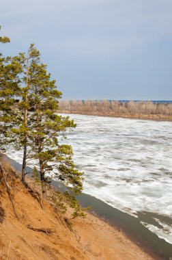 Bahar River, buz Nehri üzerinde. çıplak ağaçlar ve mavi gökyüzünde güzel bulutlar güzel bahar manzara nehir buz ile erimiş