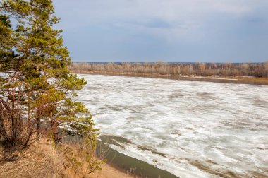 Bahar River, buz Nehri üzerinde. çıplak ağaçlar ve mavi gökyüzünde güzel bulutlar güzel bahar manzara nehir buz ile erimiş