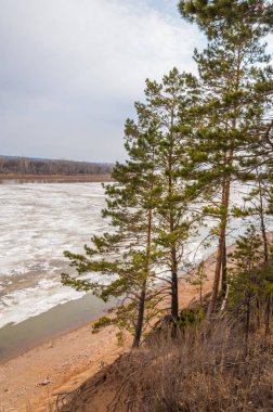 Bahar River, buz Nehri üzerinde. çıplak ağaçlar ve mavi gökyüzünde güzel bulutlar güzel bahar manzara nehir buz ile erimiş