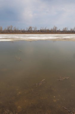 Bahar River, buz Nehri üzerinde. çıplak ağaçlar ve mavi gökyüzünde güzel bulutlar güzel bahar manzara nehir buz ile erimiş