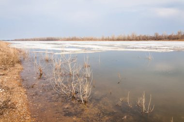 Bahar River, buz Nehri üzerinde. çıplak ağaçlar ve mavi gökyüzünde güzel bulutlar güzel bahar manzara nehir buz ile erimiş